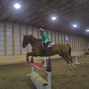 Meet your Posher, Ivy